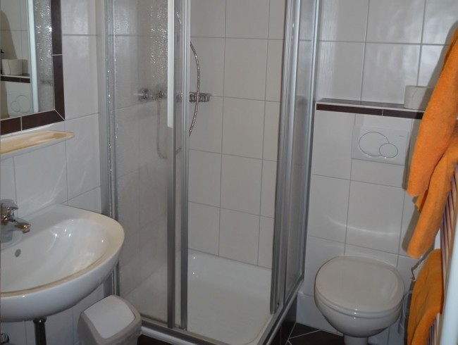 Badezimmer mit Dusche/WC im Appartement A